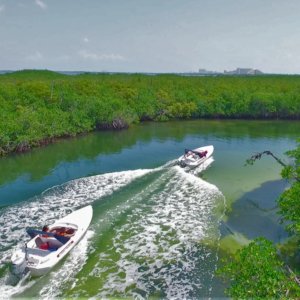 jungle tours in cancun