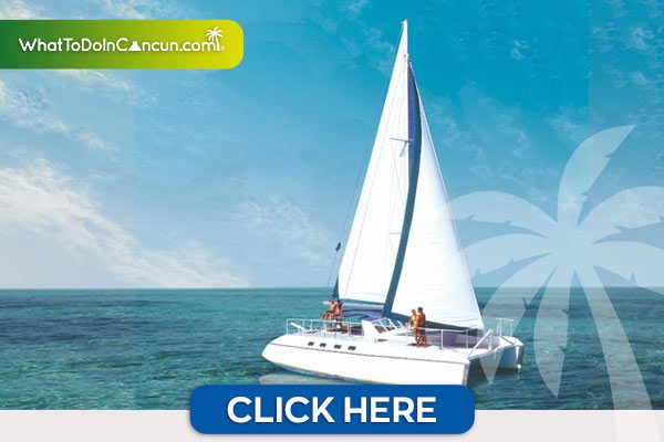 Catamarán blanco navegando sobre el mar